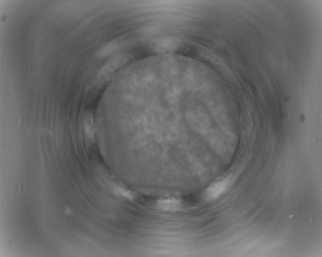 X0000076450240200610271832