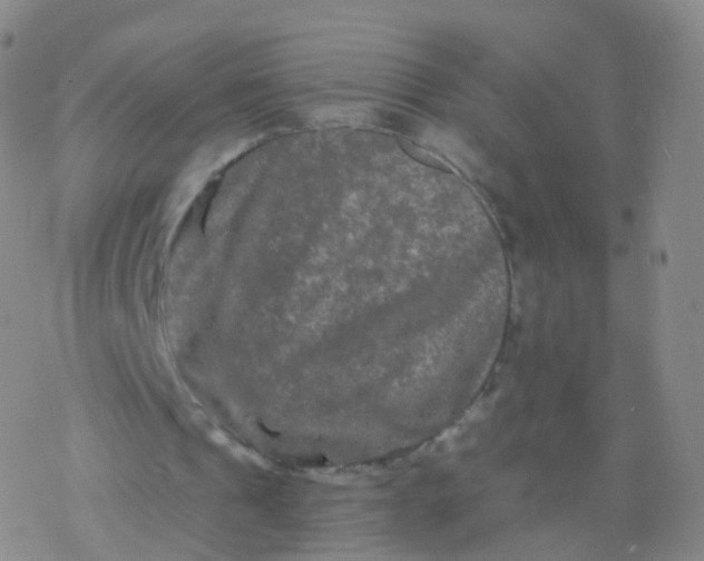 X0000076450241200610271831