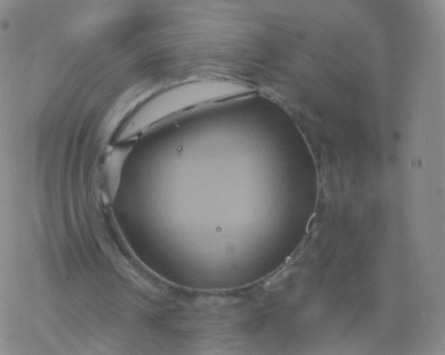 X0000076450242200610271831