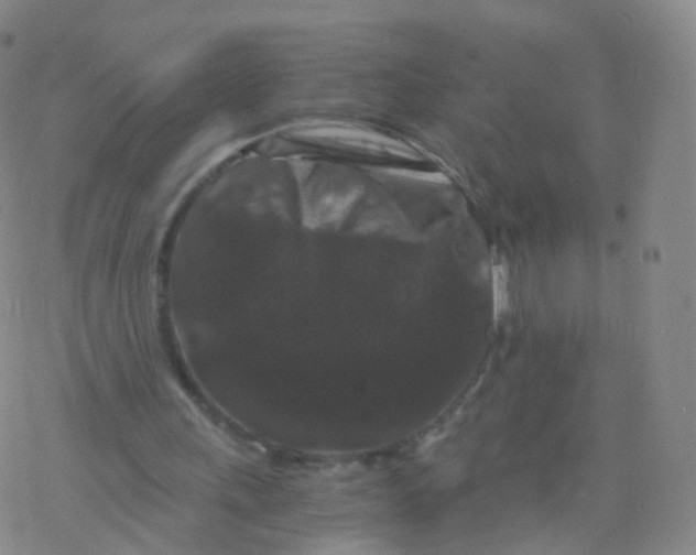 X0000076450243200610271831