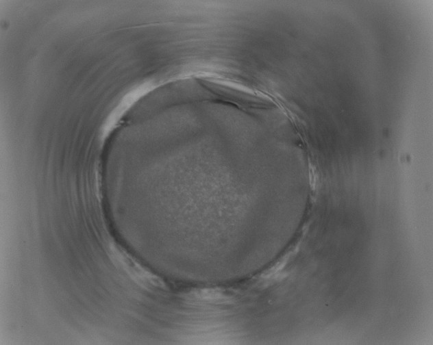 X0000076450244200610271831