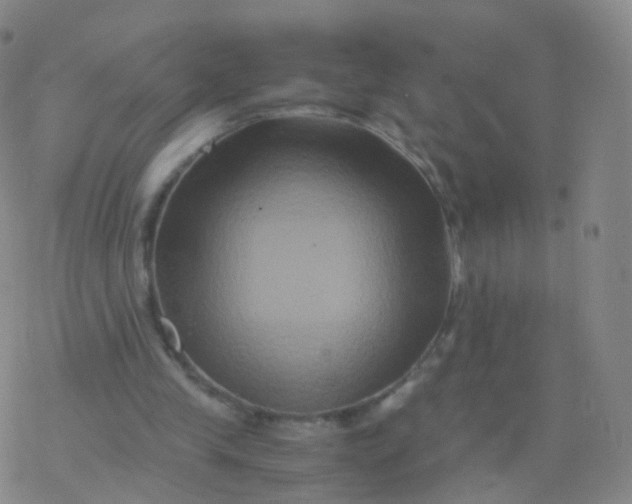 X0000076450245200610271831