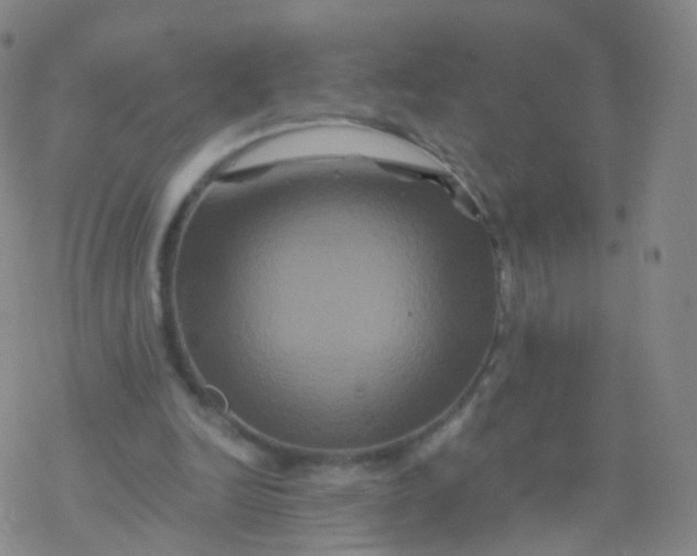 X0000076450246200610271831