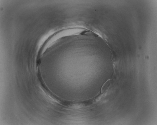 X0000076450248200610271831