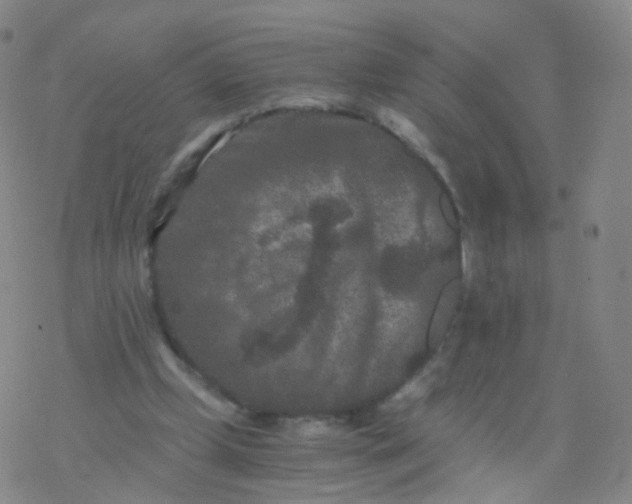 X0000076450249200610271831