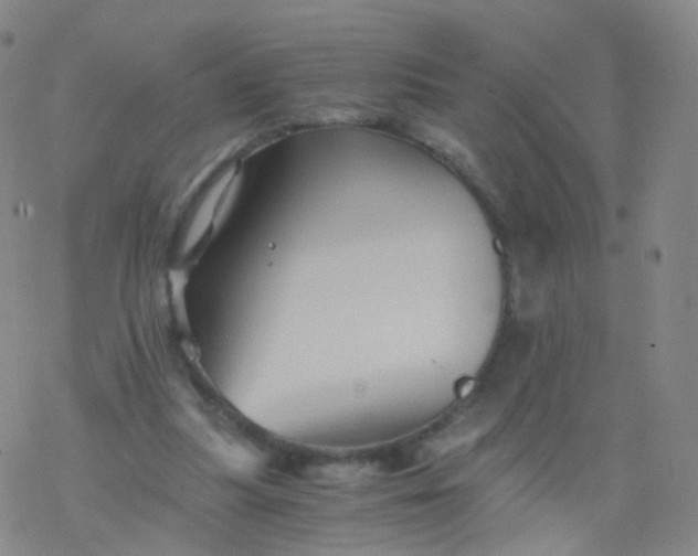 X0000076450251200610271831