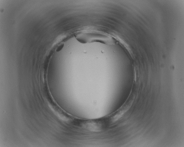 X0000076450253200610271831