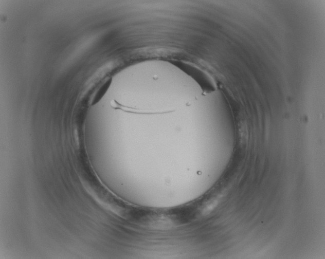 X0000076450254200610271831