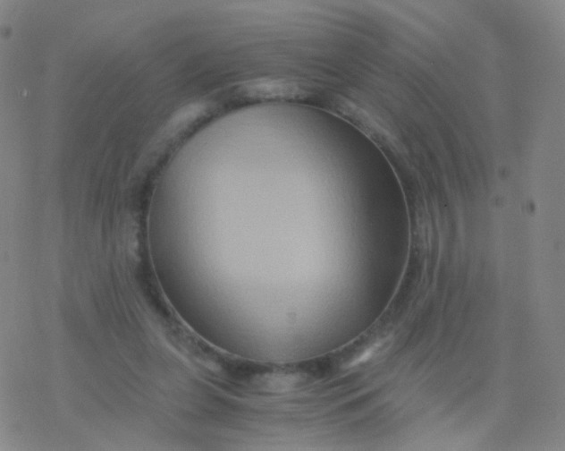 X0000076450255200610271831