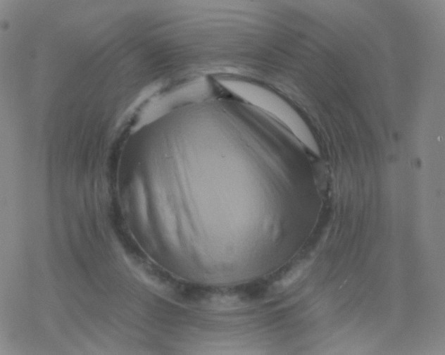 X0000076450256200610271831