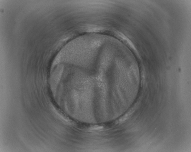 X0000076450257200610271831