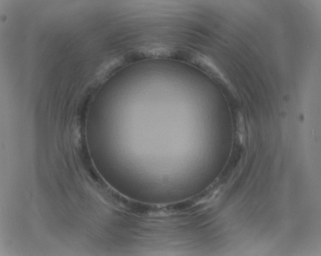 X0000076450259200610271831