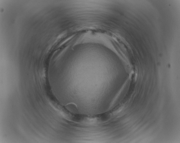 X0000076450260200610271831