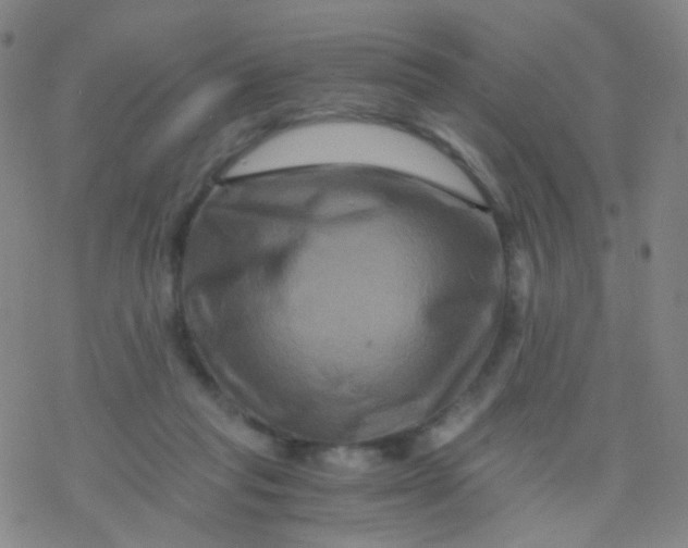 X0000076450261200610271831