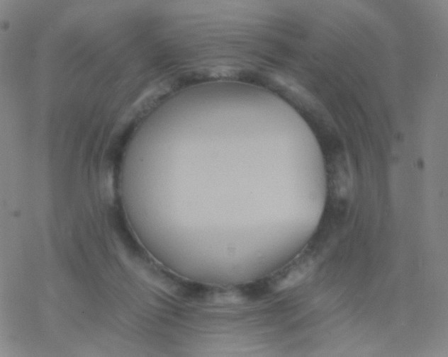 X0000076450262200610271831