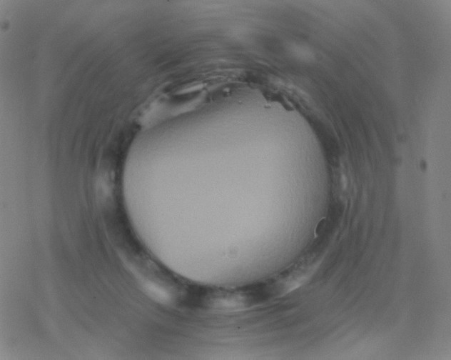 X0000076450263200610271831