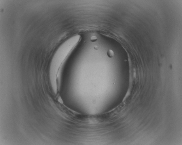 X0000076450264200610271831