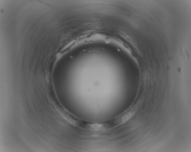 X0000076450265200610271831