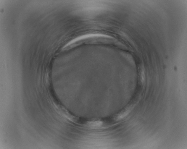 X0000076450266200610271831