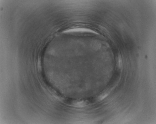 X0000076450267200610271831