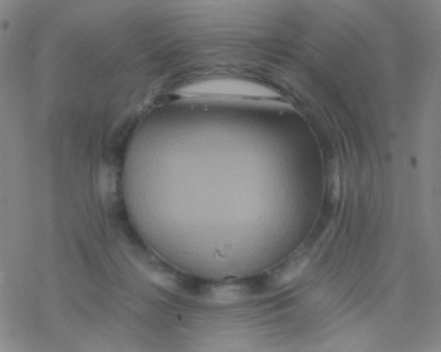 X0000076450268200610271831