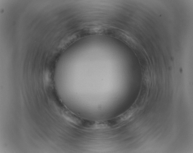 X0000076450270200610271831