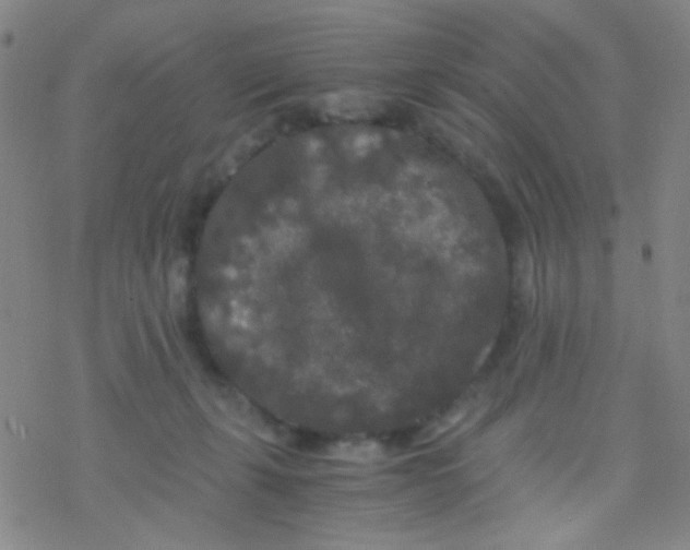 X0000076450271200610271831