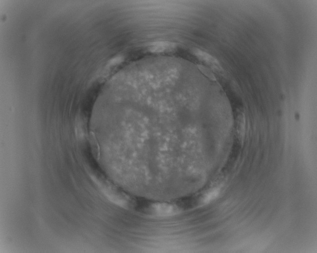 X0000076450272200610271831