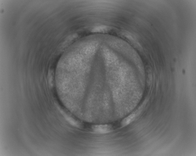 X0000076450273200610271831