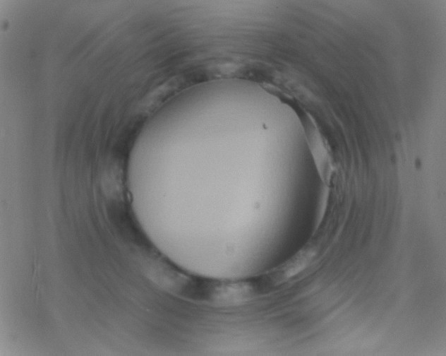 X0000076450274200610271831