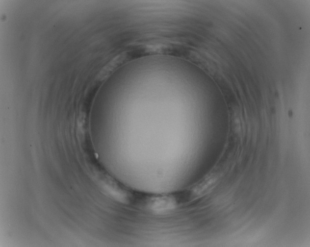 X0000076450275200610271831