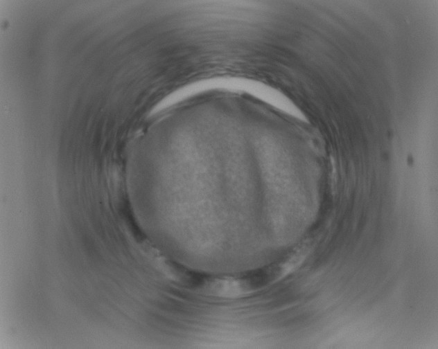 X0000076450276200610271831