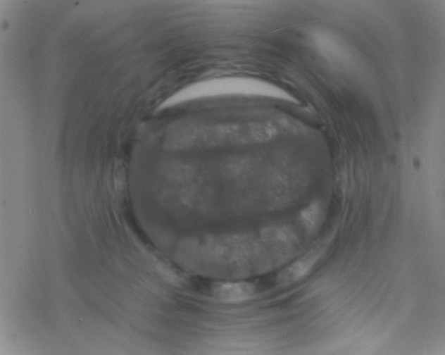 X0000076450277200610271832