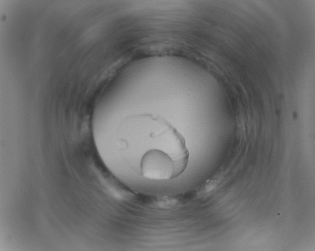 X0000076450278200610271832