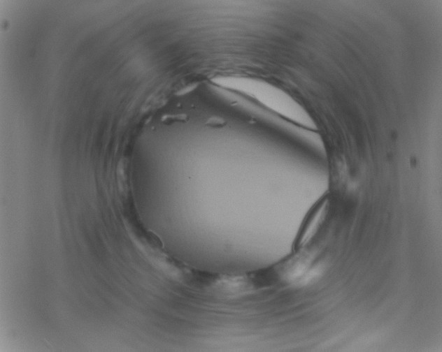 X0000076450280200610271832