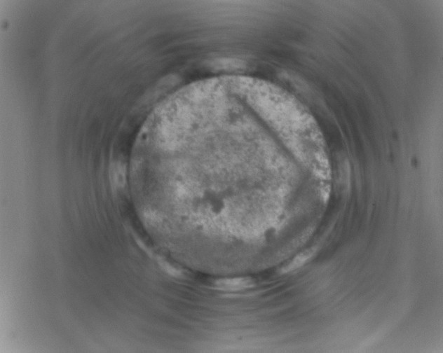 X0000076450281200610271832