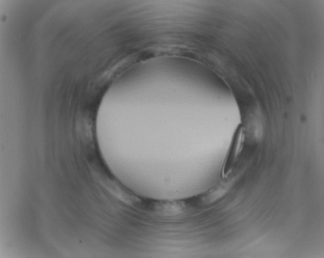 X0000076450282200610271832