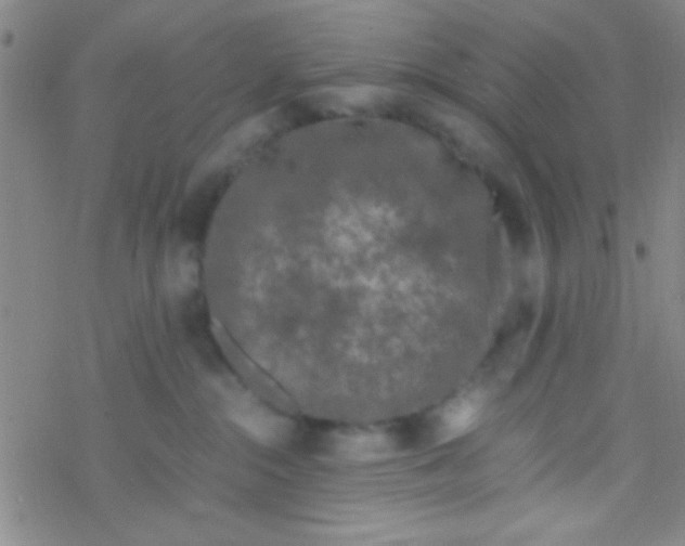 X0000076450284200610271832