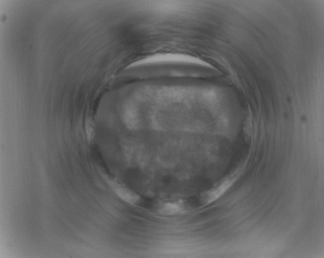 X0000076450285200610271832