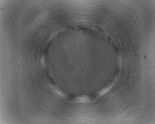 X0000076450286200610271832