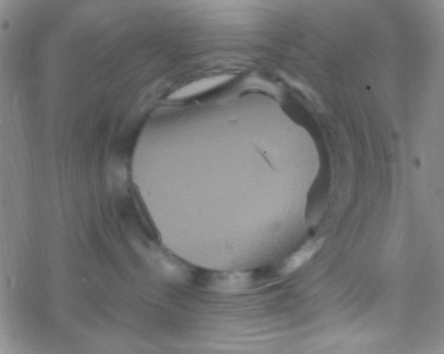 X0000076450288200610271832