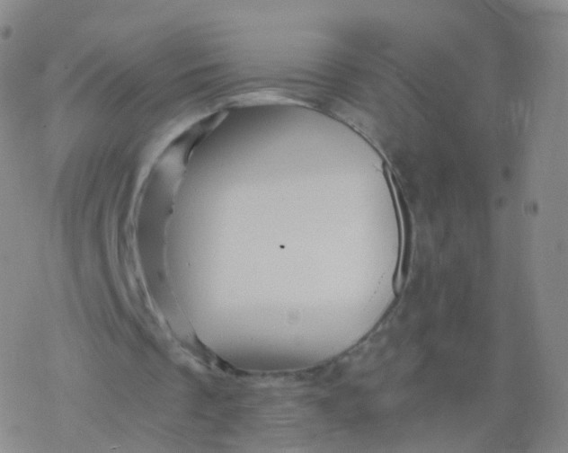 X0000076450289200610271831