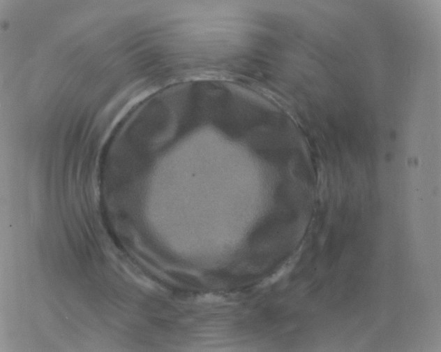 X0000076450290200610271831