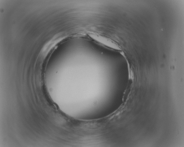 X0000076450291200610271831