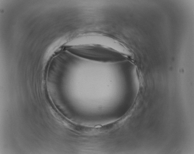 X0000076450293200610271831