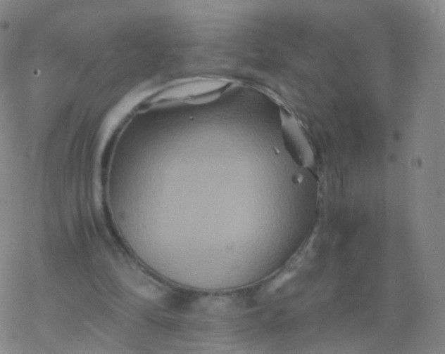 X0000076450294200610271831