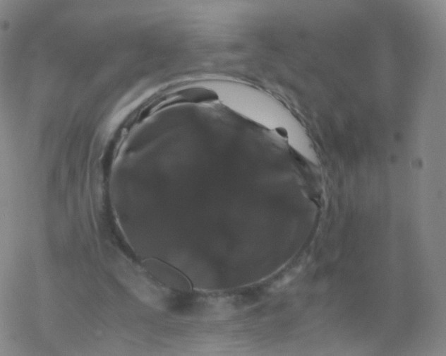 X0000076450295200610271831