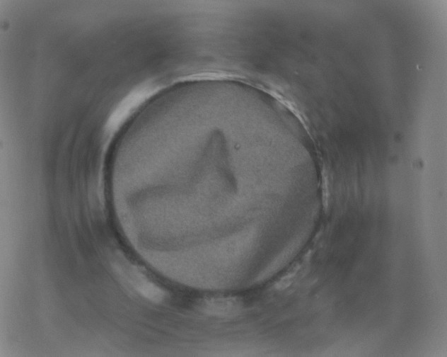 X0000076450296200610271831