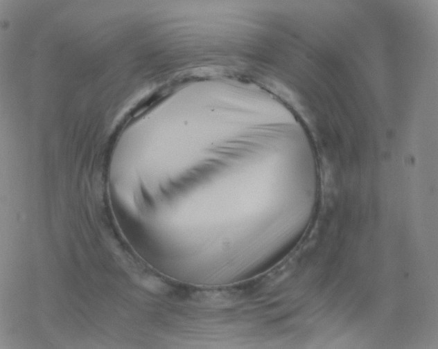 X0000076450297200610271831