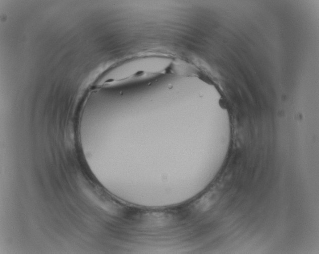 X0000076450298200610271831